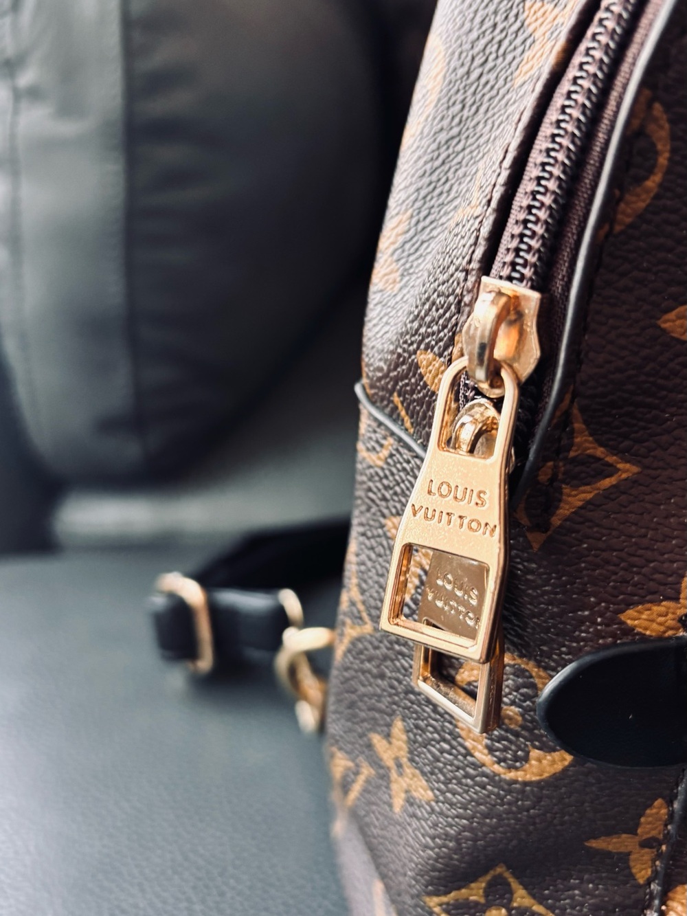 Monogram Mini Backpack with Brown and Gold Hardware - Picture 2 of 5